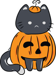 Cat With Halloween Pumpkin Costume