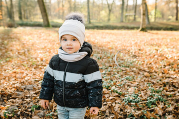 Kid playing with acorns walking in forest at sunset. Child little boy play with fall golden autumn leaves. Kid stands in yellow leaves in park. Family holiday in nature. Photo portrait toddler closeup