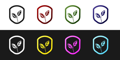 Set Shield with leaf icon isolated on black and white background. Eco-friendly security shield with leaf. Vector