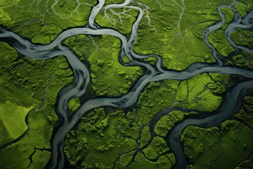 Foto op Plexiglas Rijstvelden aerial view of a river delta with lush green vegetation and winding waterways