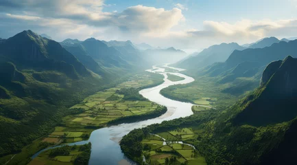 Fotobehang aerial view of a river delta with lush green vegetation and winding waterways © Kien
