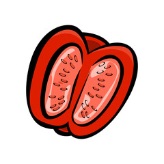 illustration of a tomato