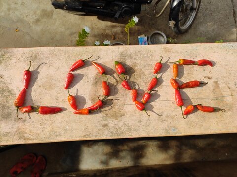 Love word is written with chilli