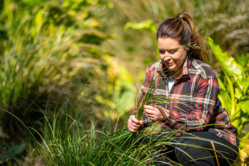 female farmer looking at crop health and the roots agronomy.  agronomist checking the soil health in a fiel.d in queensland australia © Phoebe