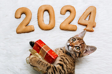 a funny kitten among the gigerbread numbers of the new year 2024 with a gift box