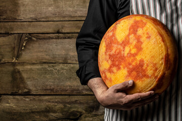 A head of hard cheese in man's cheesemaker hands. delicious dairy products. cheese maasdam with big holes