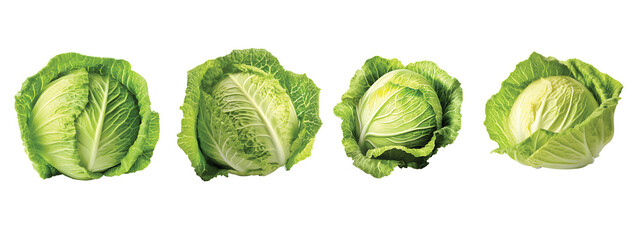 Cabbage isolated, Cabbage on Transparent Background with full depth of field Cabbage PNG