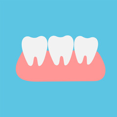 Healthy teeth in the gums. Side view. Dental design. Vector.