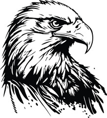 Naklejka premium Realistic Bald Eagle Bird Head