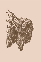 Vector hand-drawn bison  on sepia background, graphical  vintage illustration