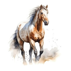 Watercolor running horse isolated on white background. Aquarelle painting illustration.