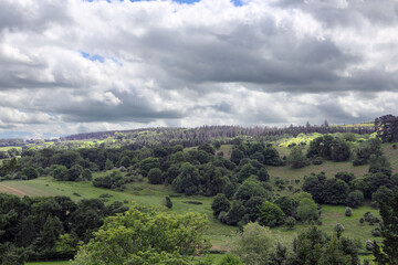 Beautiful green foliage with clouds in the English countryside. 