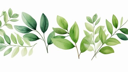 Naklejka premium Hand painted foliage pattern, seamless floral print with green leaves, watercolor illustration Collection isolated white background suitable for Wedding Invitation, wallpapers, textile or cover