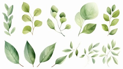 Naklejka premium Hand painted foliage pattern, seamless floral print with green leaves, watercolor illustration Collection isolated white background suitable for Wedding Invitation, wallpapers, textile or cover