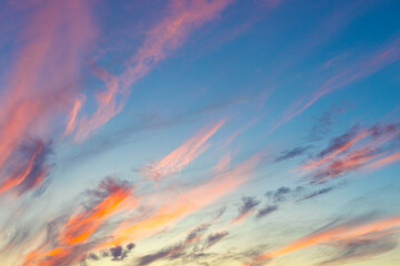 beautiful evening sky with cirrus clouds during sunset - obrazy, fototapety, plakaty