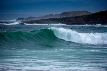 Wave at the coast