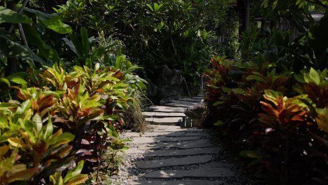 Typical oriental path with stones and flagstones surrounded by vegetation.