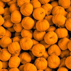 Halloween pumpkin background, 3d rendered illustration