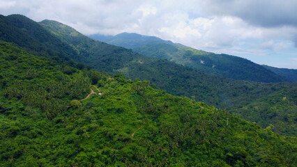 Naklejka premium Landscape in the mountains. Cloudiness in the mountains. Fog in the mountains. Mountain tops covered with jungle and tropical rainforest among the clouds.