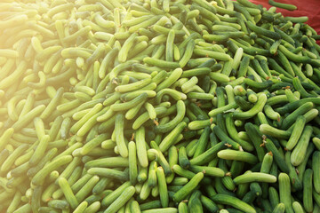 Beautiful green cucumber harvested from the garden