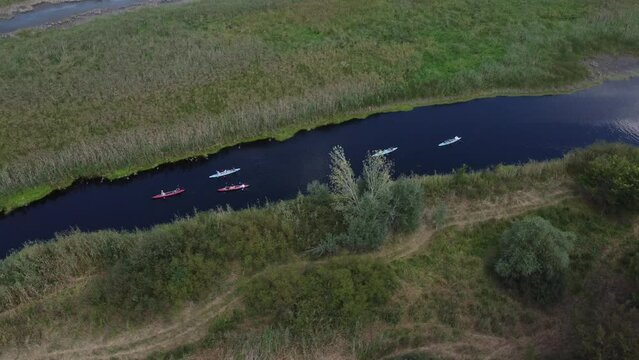 Kayakers travel along the river among reed swamps. Filming from a drone, willow trees are visible on one bank.