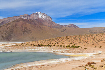 Thermalquelle von Polloquere, Nationalreservat Las Vicunas, Altiplano, Chile, Südamerika