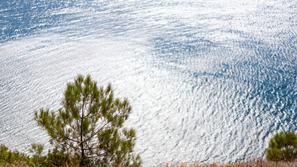 sea ​​view from the mountain, pine trees and fresh sea air 