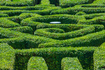 Green labyrinth in the park in Innsbruck