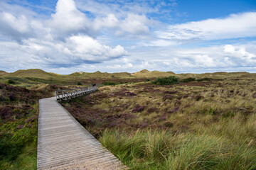 Fototapeta premium Dünenlandschaft auf der Norseeinsel Amrum mit dramatischen Wolken