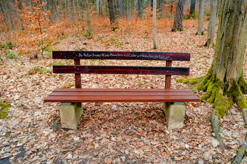 Lonely bench in a magical mixed forest with a writing on it in German - Nature does not need us, people, but we need nature