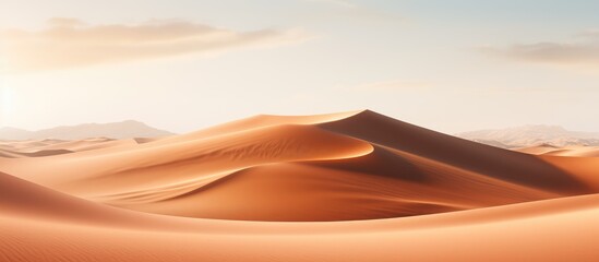 Fototapeta na wymiar Desolate sandy landscape in the middle of nowhere