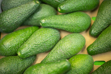Avacado in box. Fruits on market. Green fruit.