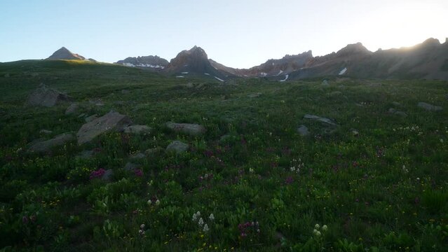 Cinematic columbine colorful wildflower sunset golden hour light Ice Lake Basin Silverton Telluride Ouray Trailhead top of summer snow melted peak Rocky Mountains valley Colorado stunning landscape