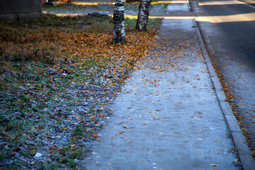 Autumn frosts on the street. Road in the park in autumn. An empty path for a walk.