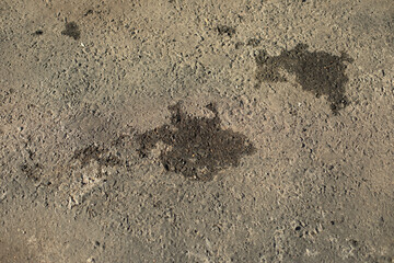 Wet spot on asphalt. Dried puddle on road. Wet spot.