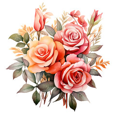 Collection of watercolor rose flower bouquet Illustration graphic
