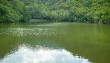Beautiful view. Green lake with a forest