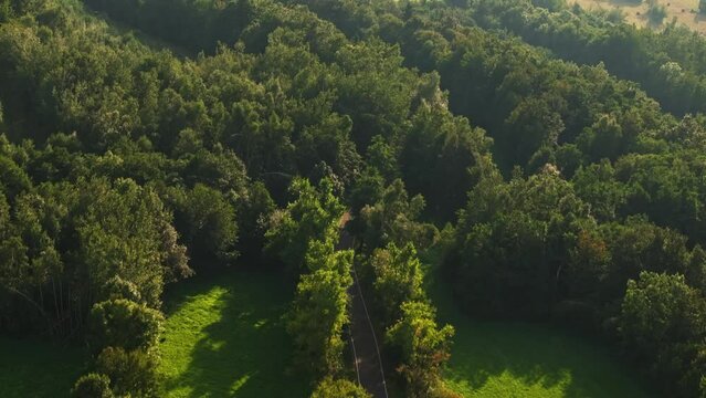 Walim near Walbrzych fields Poland
