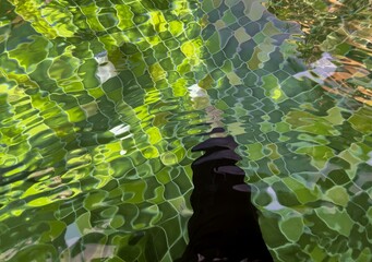 a photography of a person standing in a pool with a reflection of trees, there is a person standing...