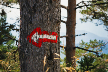 Fototapeta premium Red tourist sign, arrow sign on wood