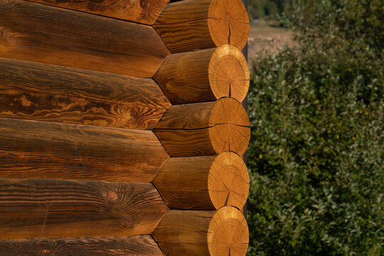 wooden building, construction details of the facade with exposed wooden beams. interlocking beam structure. architectural project for a mountain cabin.