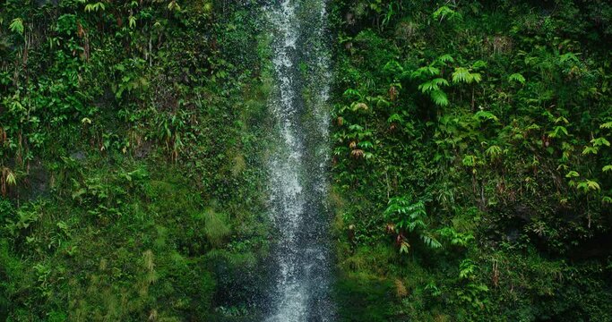Tropical Waterfall in Hawaii, Filmed on high speed cinema camera at 1000fps