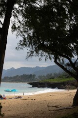 Beautiful sandy beach with people lying and relaxing under umbrellas
