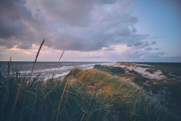 Overview over dunes in evening light at danish west coast. High quality photo