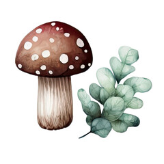 Mushroom watercolor of hand drawn, Mushroom Burgundy color, Mushroom elegant watercolor illustration, Mushroom isolated transparent background, PNG