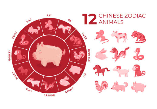 Chinese Zodiac Illustrations 12 Year Zodiac Animal