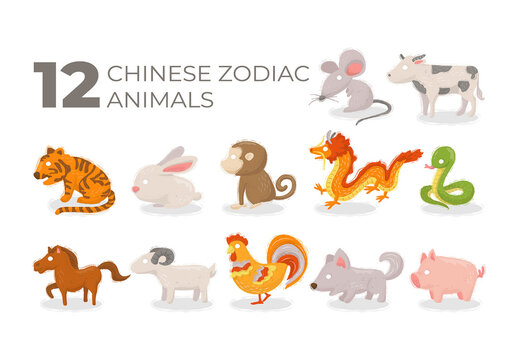 Chinese Zodiac Illustrations 12 Year Zodiac Animal