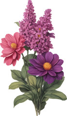 Flower Vector, Botanical Flower, Bunch of Flower, Panicle of Flower