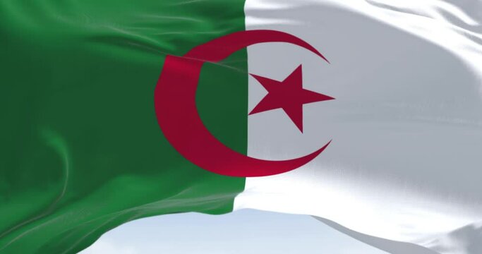 Close-up of Algeria national flag waving