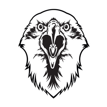 eagle head mascot logo vector art illustration design